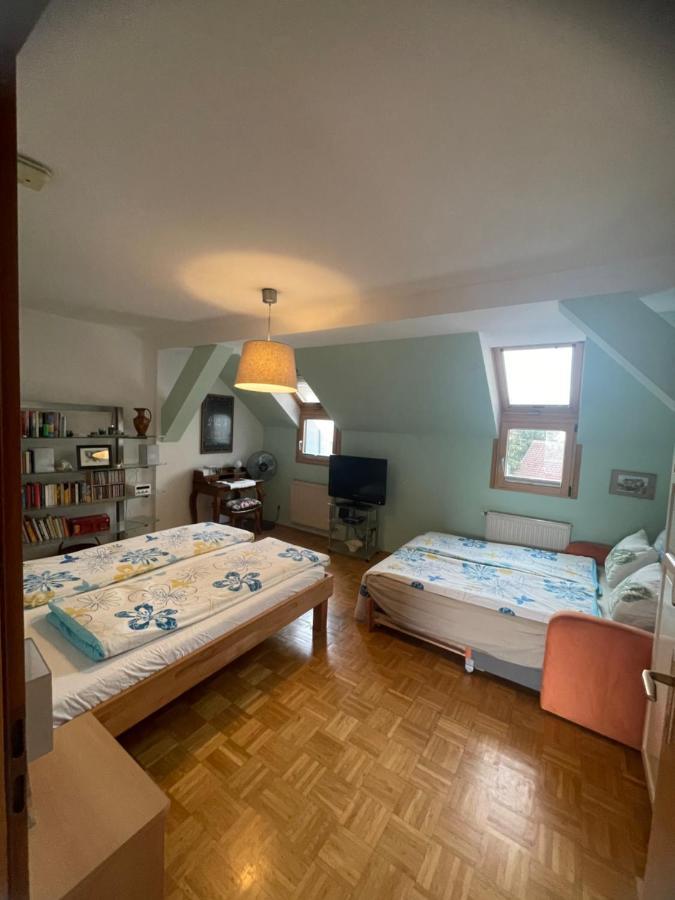 Grazer Schwalbe Apartment Ngoại thất bức ảnh
