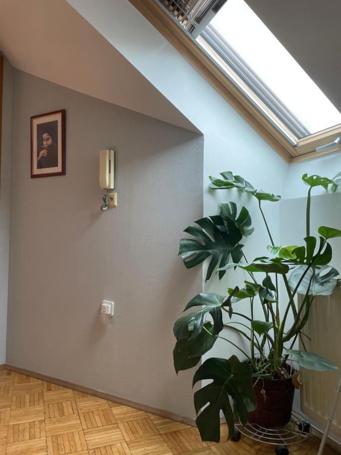 Grazer Schwalbe Apartment Ngoại thất bức ảnh